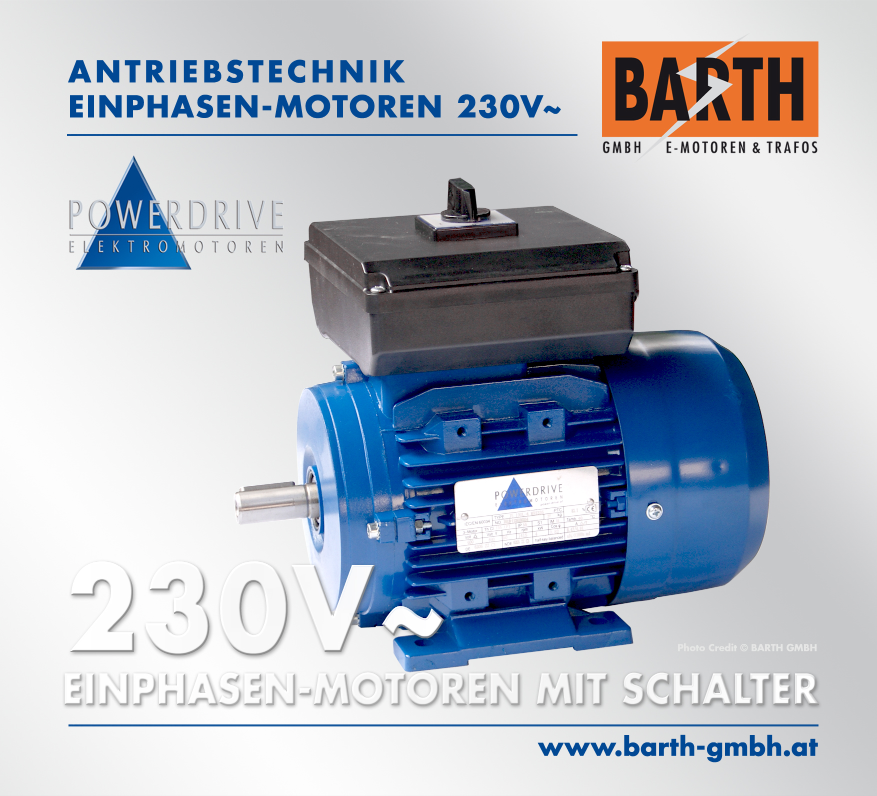 Abb.: 230V~ Motor mit Schalter